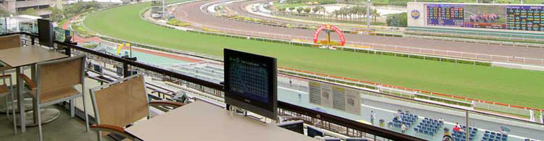 Using Racecourse Facilities