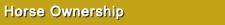 Horse Ownership