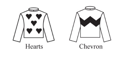 Racing Colours Registration - Body Pattern