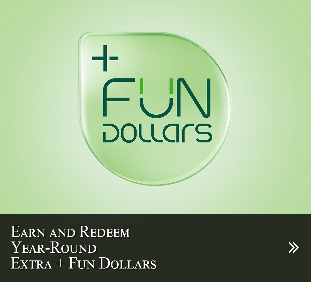 Earn and Redeem Hang Seng Credit Card Cash Dollars
