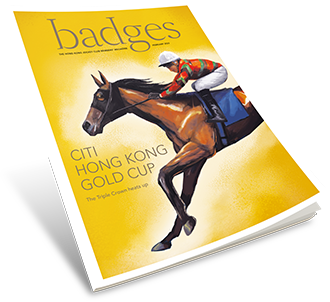 Badges cover