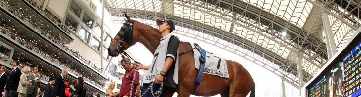 Access to Parade Ring