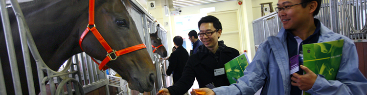 Stable Visit